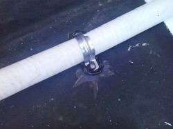 incompatible silicone seal of pipe bracket replaced with rubber sealant